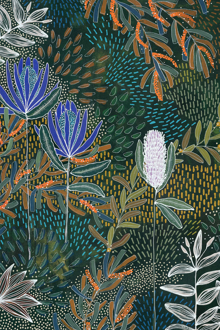 Acacia in Bloom Limited Edition Print