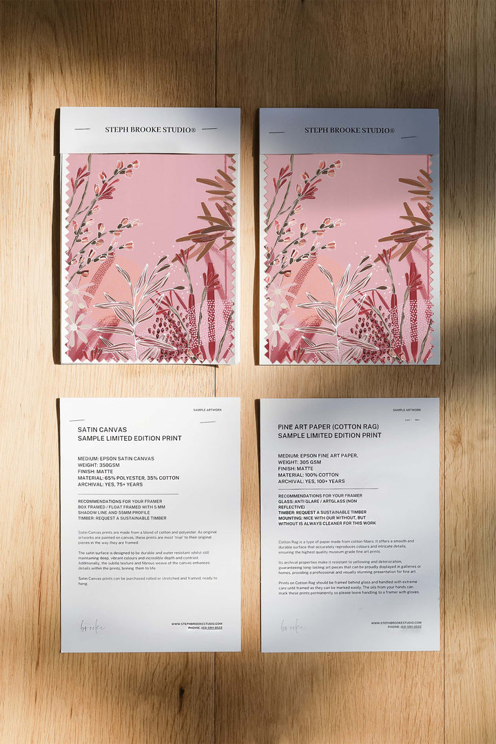 Kangaroo Paw Limited Edition Print