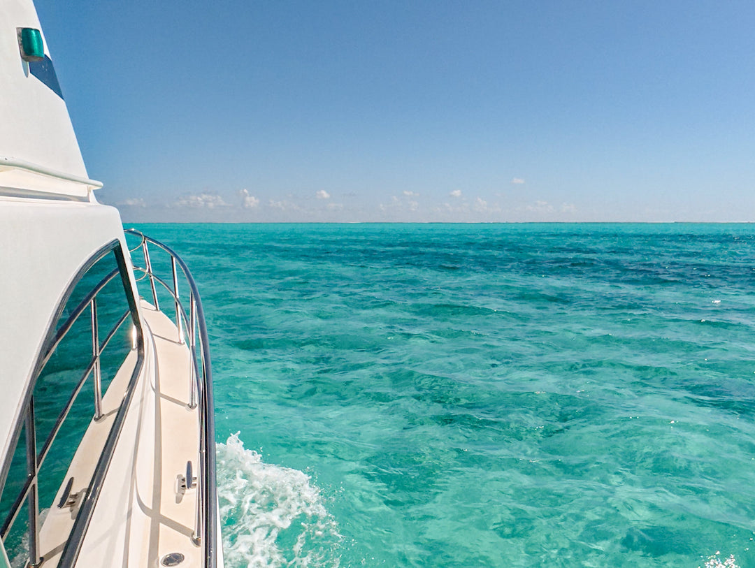 Flowers of the Sea: Painting Ningaloo Reef