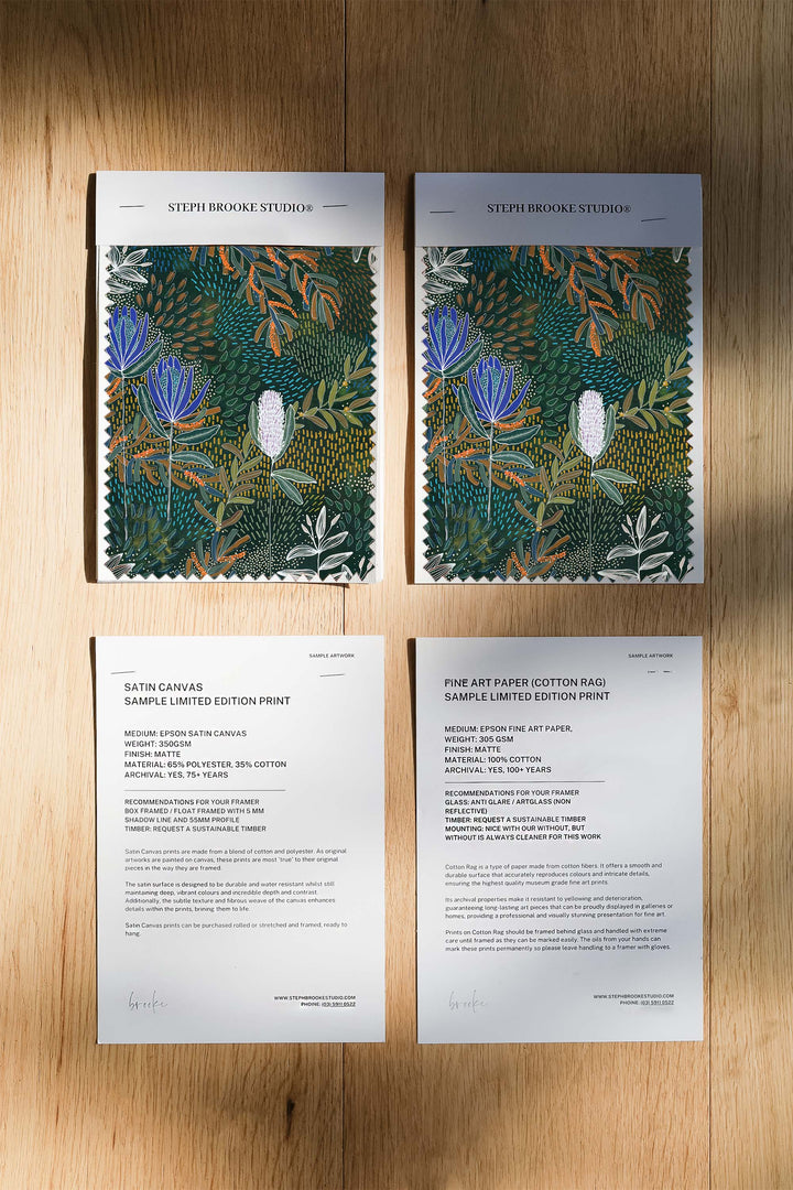 Acacia in Bloom Limited Edition Print