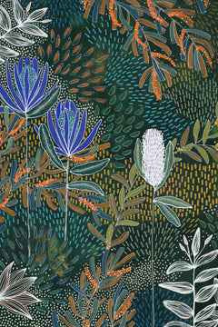 Acacia in Bloom Limited Edition Print