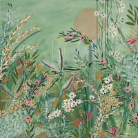 Coastal Wattles