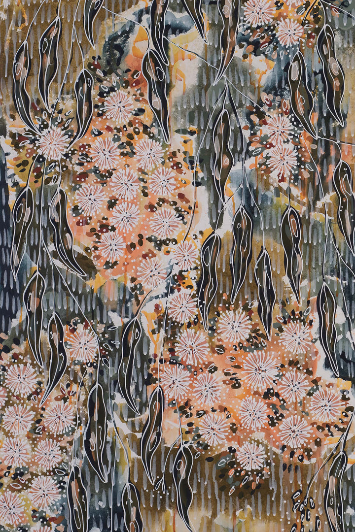 Corymbia Bella Limited Edition Print