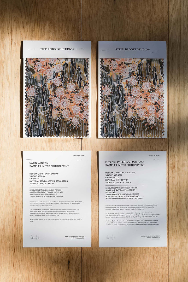Corymbia Bella Limited Edition Print