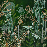Moon Flowers
