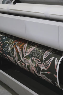 Blackwood Wattle Open Edition Print