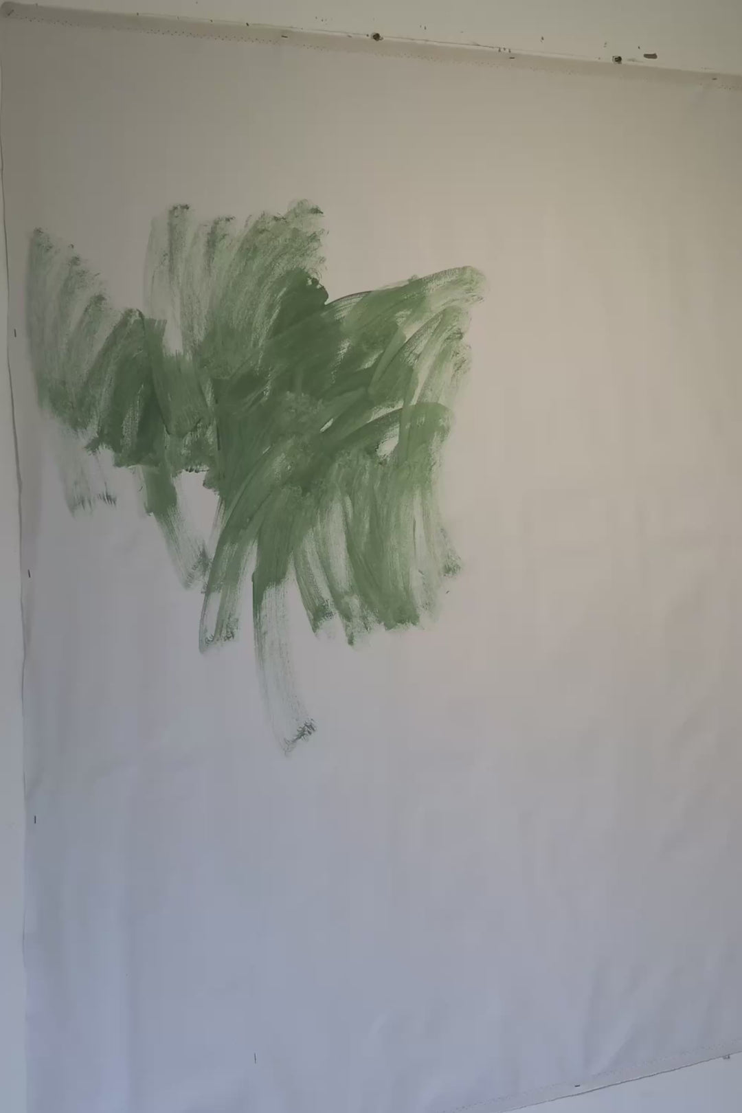 Coastal Banksia Limited Edition Print