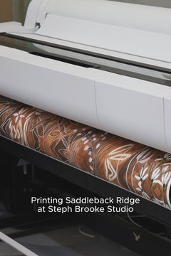Saddleback Ridge Limited Edition Print